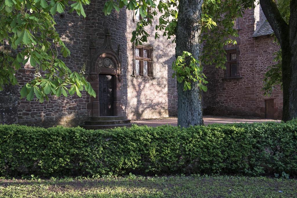 Chateau De Canac Bed & Breakfast Rodez Bagian luar foto