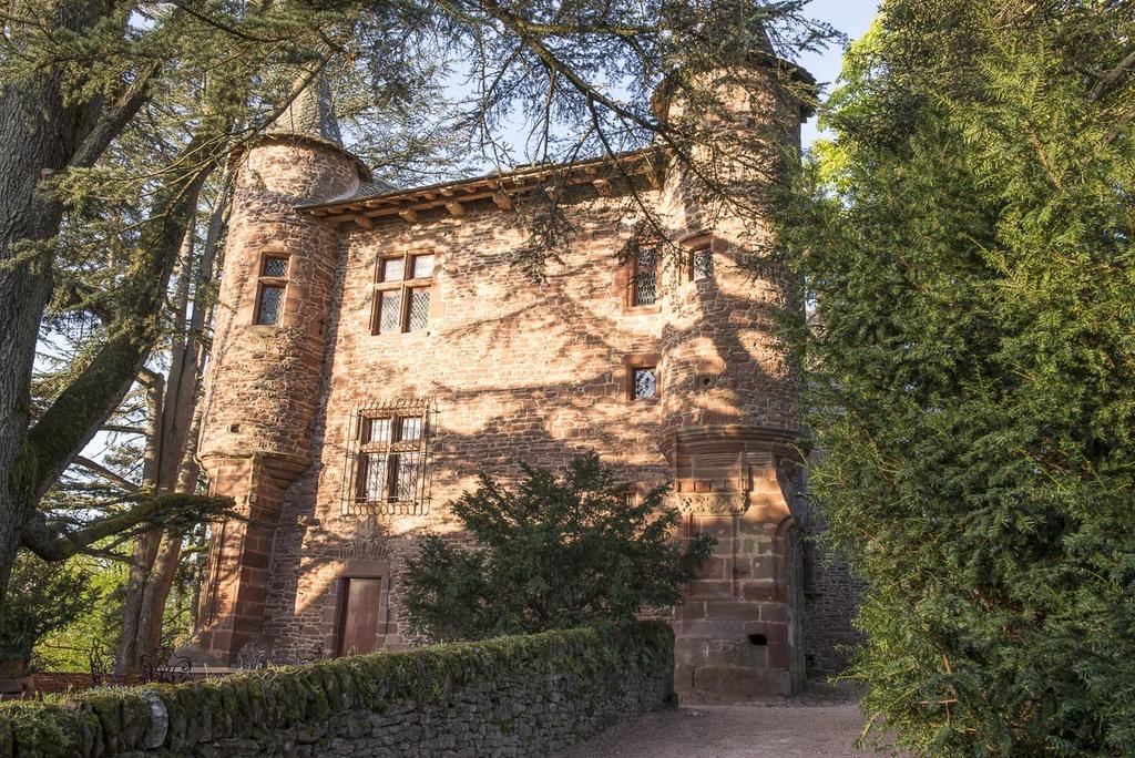 Chateau De Canac Bed & Breakfast Rodez Bagian luar foto